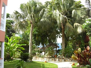 Ogródek hotelowy