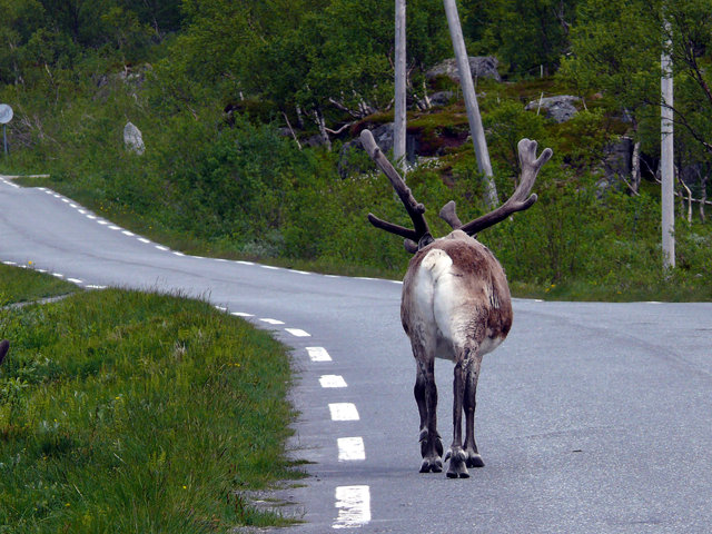 Tromso-okolice