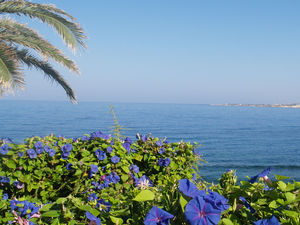 Cypr, Paphos