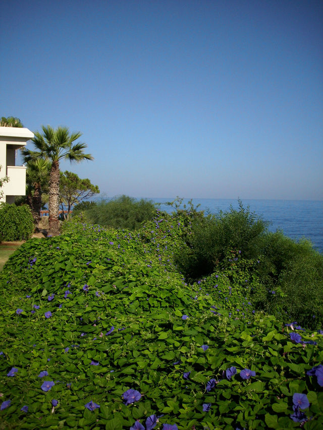 Cypr, Paphos
