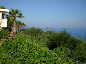 Cypr, Paphos