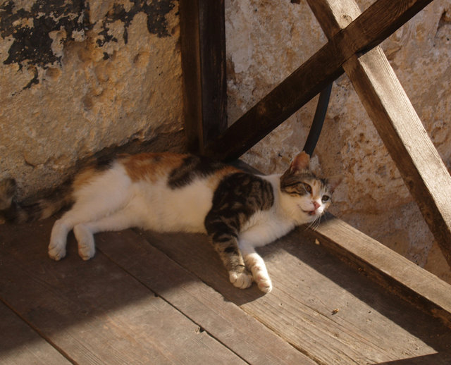 Cypr, Paphos 