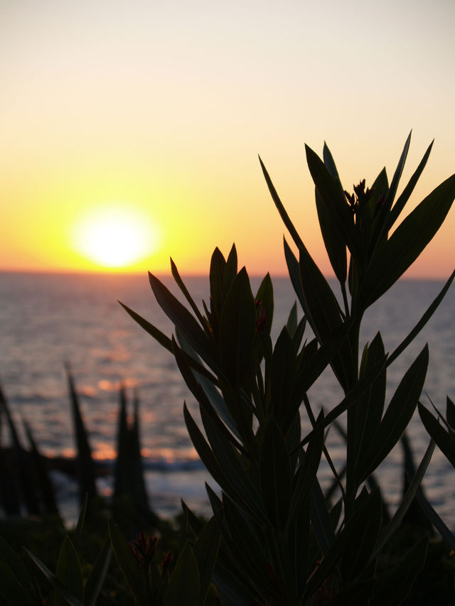 Cypr, Paphos
