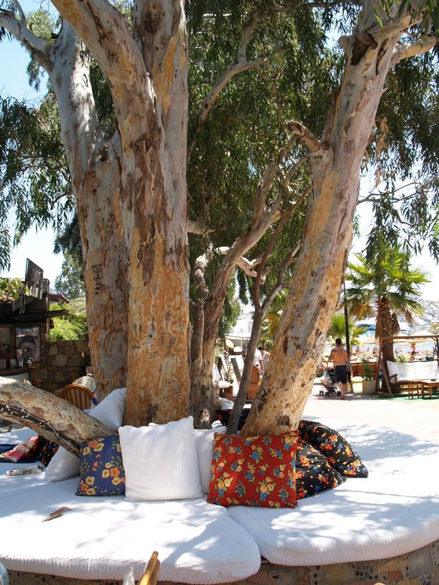 Turcja, Bodrum - Bitez