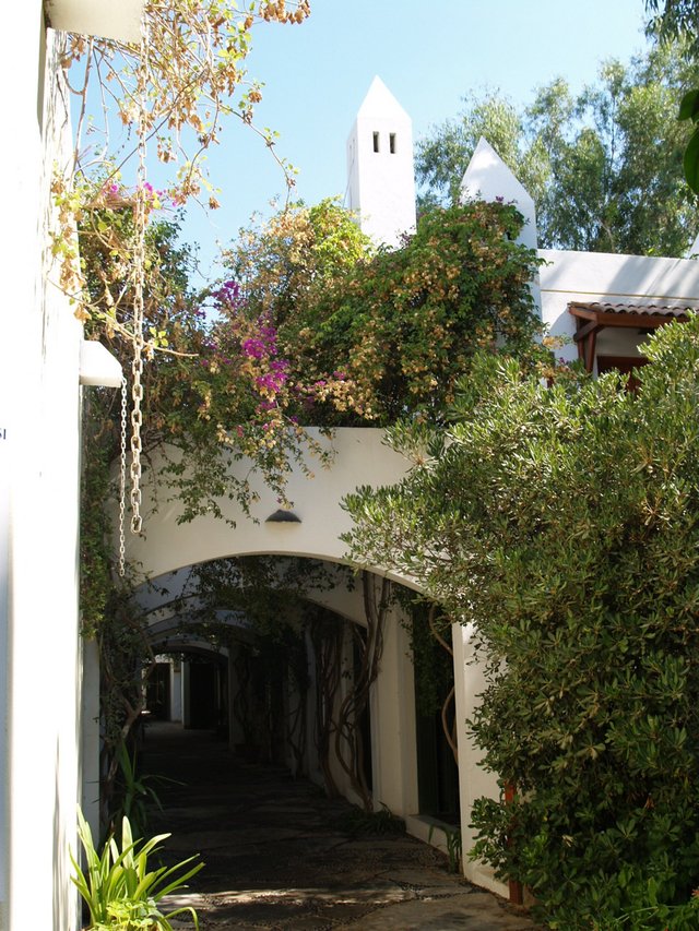 Turcja, Bodrum - Bitez