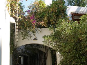Turcja, Bodrum - Bitez