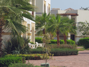 Egipt Sharm El Sheikh - Hotel Shores Aloha