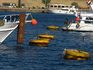 Egipt Sharm El Sheikh - cumujemy