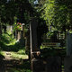 Kluż - cmentarz
