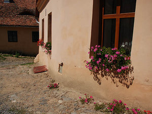 Sighisoara