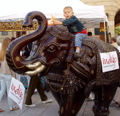 przejażdżka na słoniu