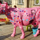 różowa krowa w kolorowe wzorki
