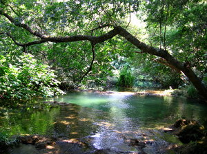 Krka `06