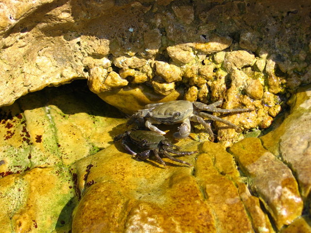 Slatine `06