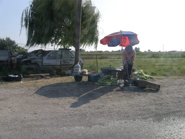 kukurydza