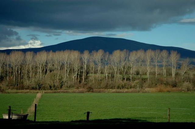 126240 - Kilkenny