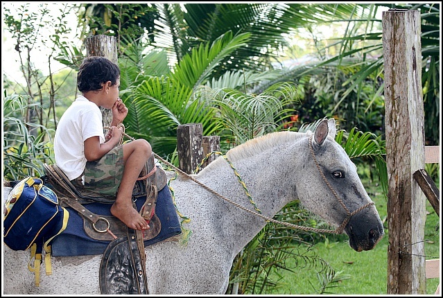 Corcovado National Park