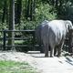 krakowskie zoo
