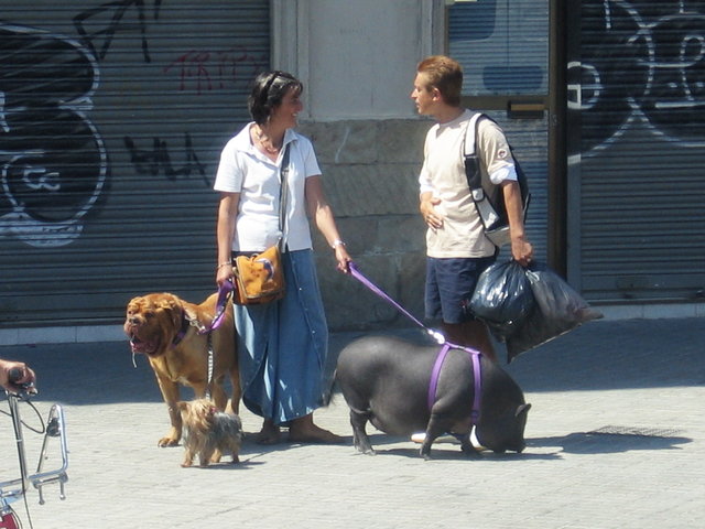 Barcelona `08
