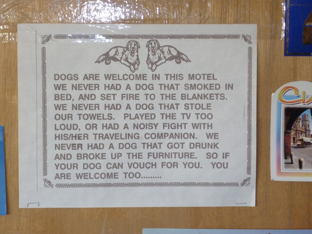 Psy w motelu