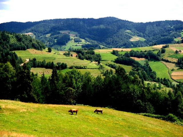 ziemia