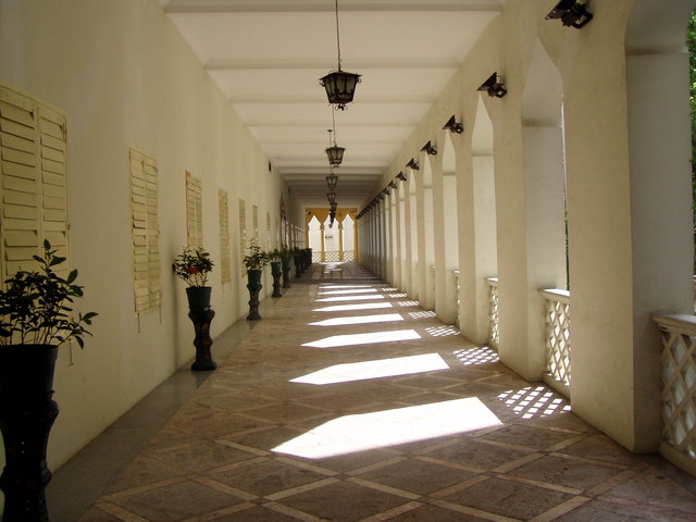 Makau