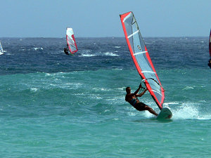 Windsurfingowcy