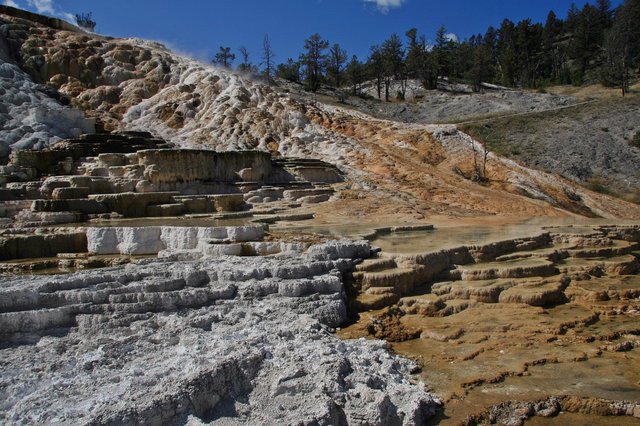 Mammoth Hot Springs