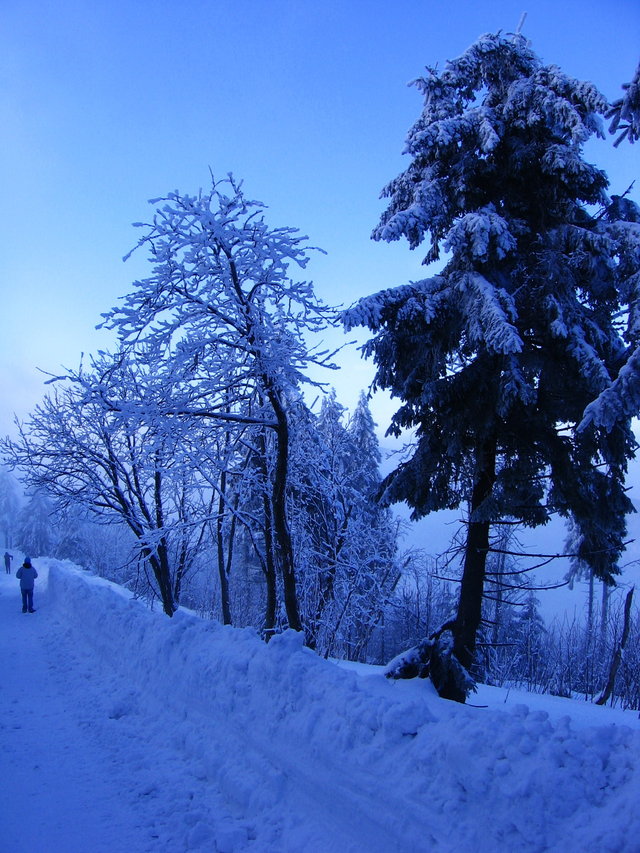 Zima `09