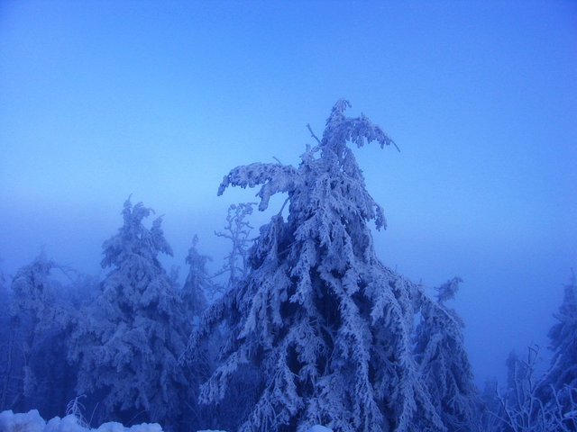 Zima `09