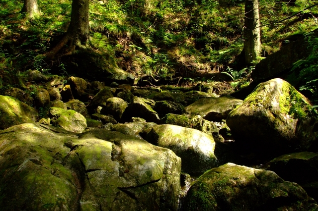 W drodze na Giewont