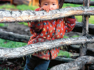 Mały  pasterz Kola całe lato spędza z rodzicami w drewnianej jurcie w górach.