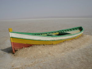 TUNEZJA,SAFARI