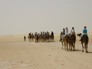 TUNEZJA,SAFARI