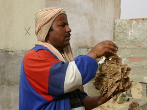 TUNEZJA,SAFARI
