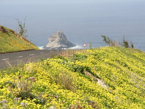 PORTUGALIA,WYSPA PORTO SANTO