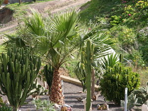 PORTUGALIA,WYSPA PORTO SANTO