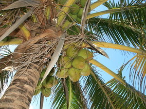 KUBA,PLAŻE VARADERO