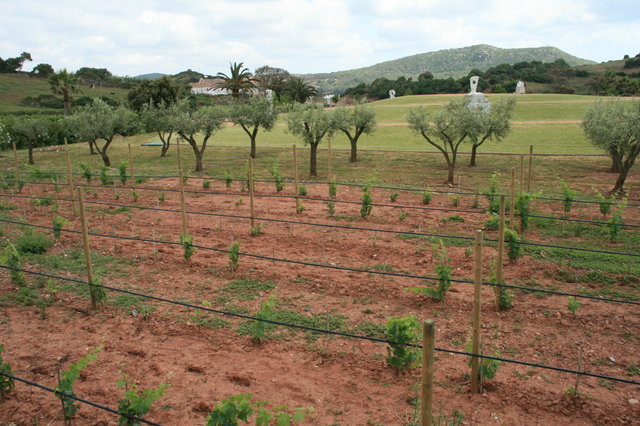 HISZPANIA-WYPSA MENORKA