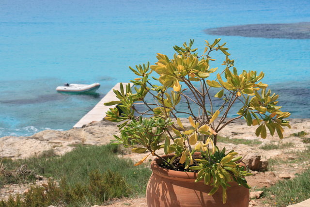 HISZPANIA,WYSPA FORMENTERA