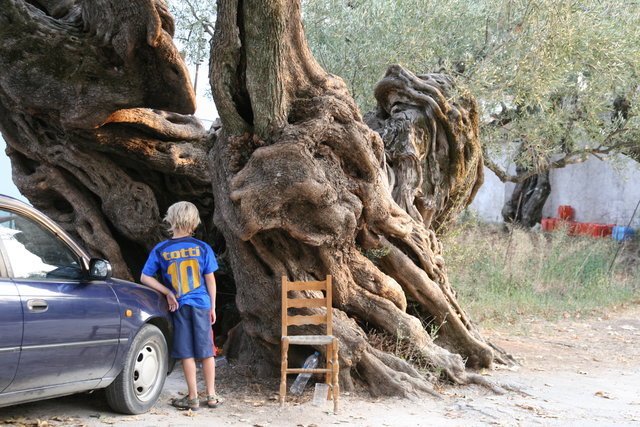 GRECJA-WYSPA ZAKYNTHOS