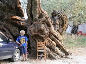 GRECJA-WYSPA ZAKYNTHOS