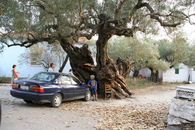 GRECJA-WYSPA ZAKYNTHOS