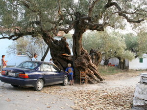 GRECJA-WYSPA ZAKYNTHOS