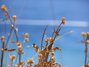GRECJA.SAMOS