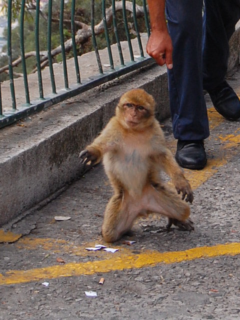 Gibraltar