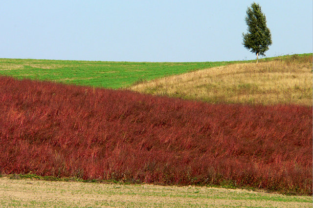 Już jesień