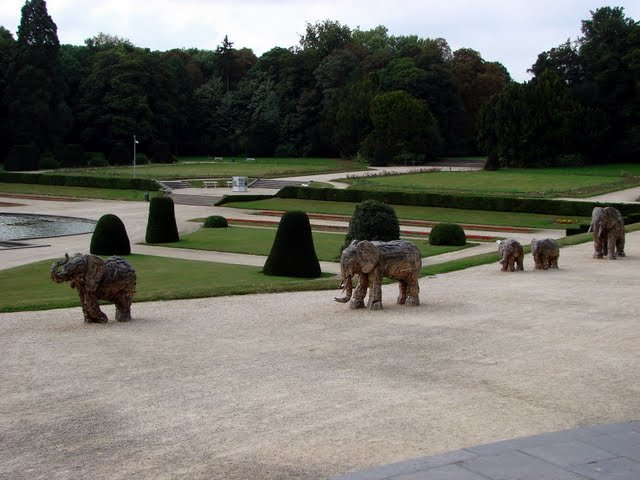 Drewniane słonie przed Muzeum Afrykańskim