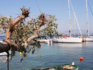 GRECJA,WYSPA KORFU