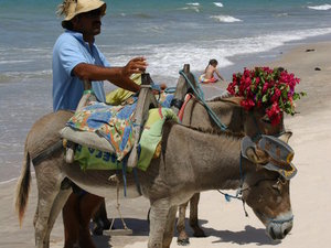 BRAZYLIA,CANOA OUEBRADA